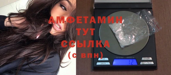 ECSTASY Богданович