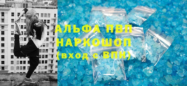 ECSTASY Богданович