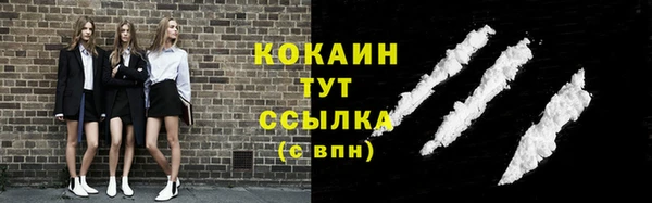 дурь Богородицк
