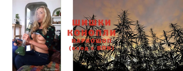 ECSTASY Богданович