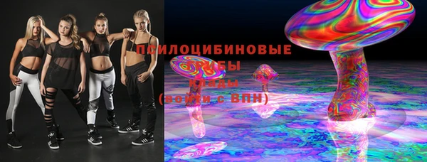 ECSTASY Богданович