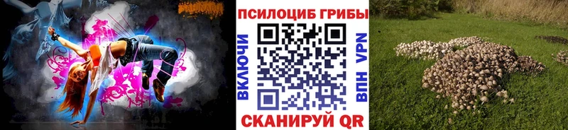 Галлюциногенные грибы мицелий Духовщина
